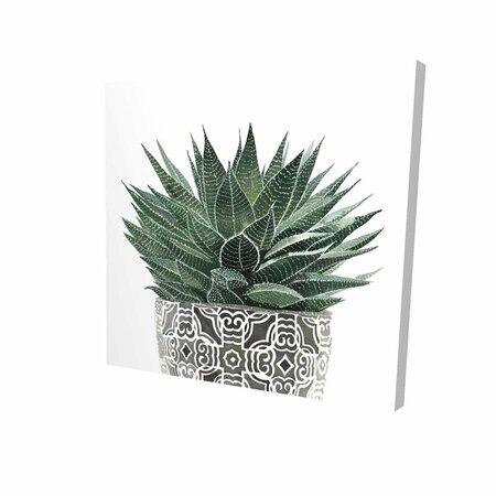 FONDO 16 x 16 in. Zebra Plant Succulent-Print on Canvas FO3337982